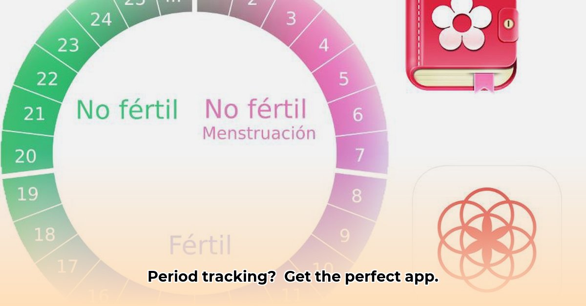 periodo-calendario-menstrual